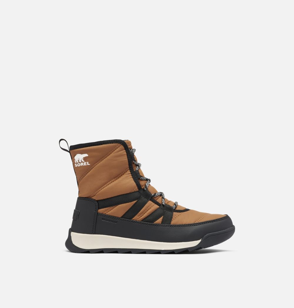 Sorel Women's Whitney™ II Short Lace Boot - Elk