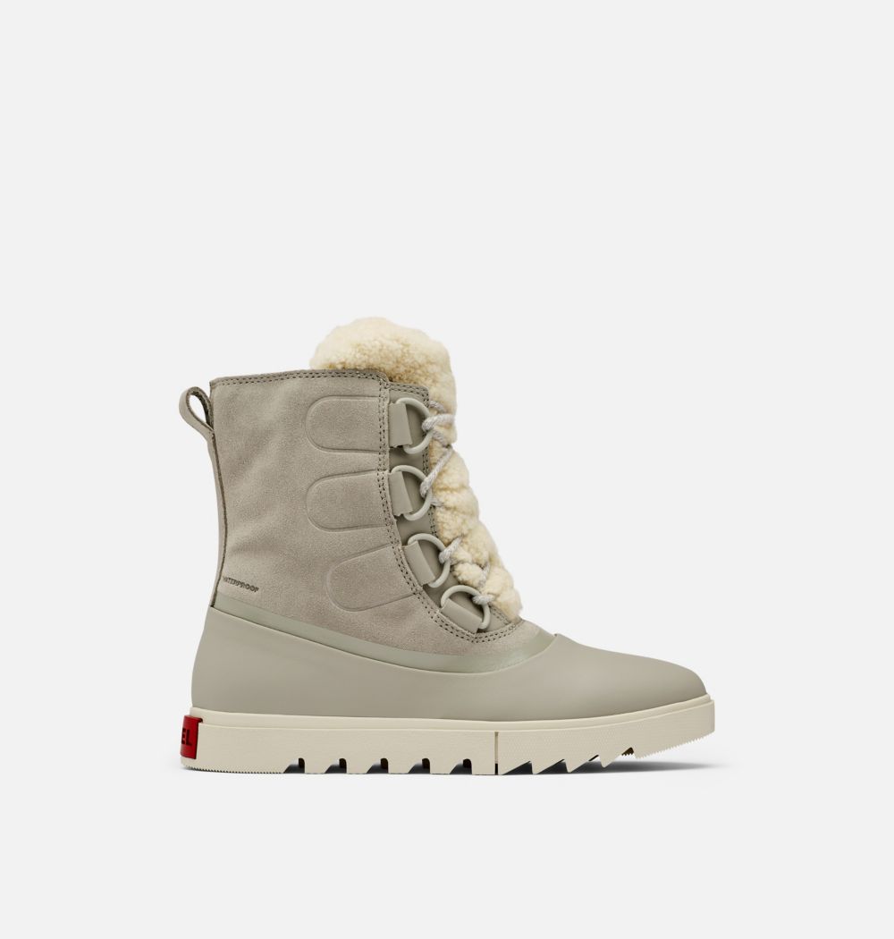 Sorel Women's Joan Of Arctic™ NEXT LITE Boot - Dove